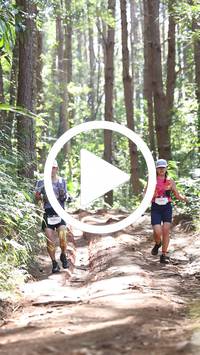 BIB:  <button type="button" onclick="openModal(26569341)" class="btn btn-primary btn-sm float-right" data-toggle="modal" data-target=".modal-high-quality">
                <i class="fa fa-download"></i> Download
                </button>